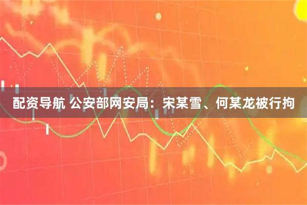 配资导航 公安部网安局：宋某雪、何某龙被行拘