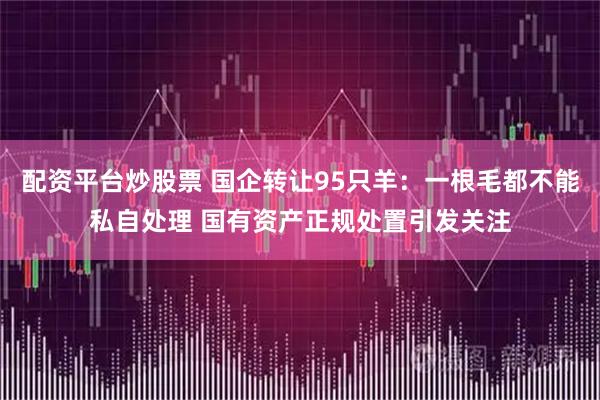 配资平台炒股票 国企转让95只羊：一根毛都不能私自处理 国有资产正规处置引发关注