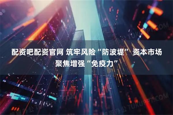 配资吧配资官网 筑牢风险“防波堤” 资本市场聚焦增强“免疫力”